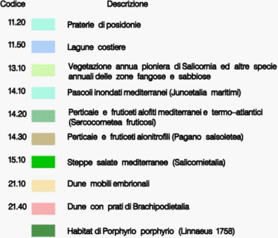 carta sulla