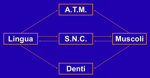 Sindrome Algico Disfunzionale Alta incidenza statistica nella popolazione Etiologia multifocale