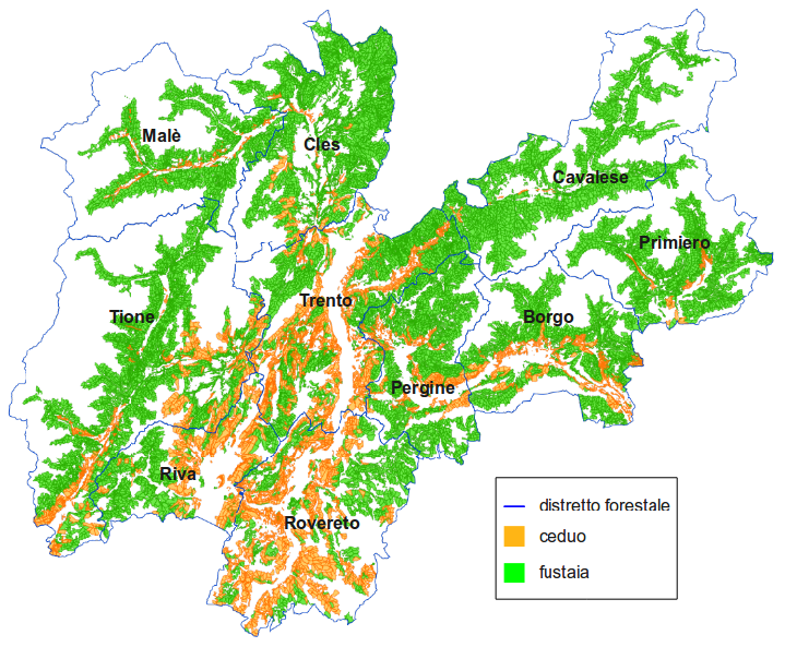 Boschi con prevalente funzione produttiva degli Enti pubblici trentini Composizione dendrologica delle fustaie di produzione 1% 1% 4% 6% 11% 59%
