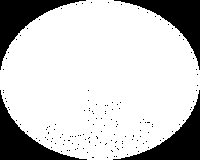 Il ruolo del Prefetto ai sensi della l.100/12 (art. 14) L art. 14, comma 2, contiene la principale modifica delle competenze del Prefetto in un emergenza di protezione civile.