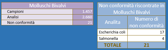 Piano di vigilanza e controllo