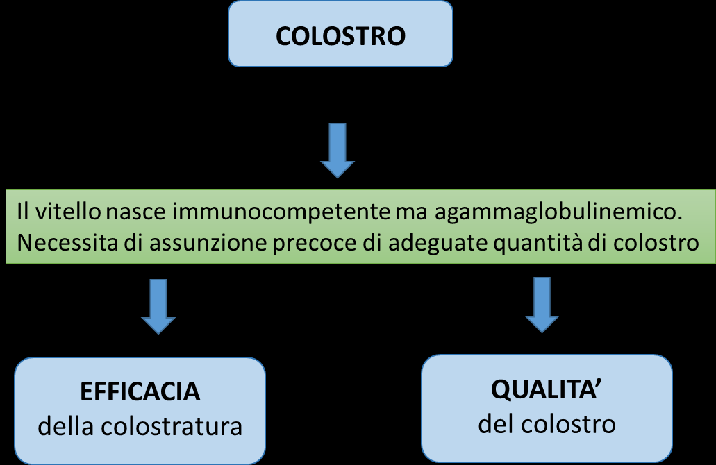 DETERMINAZIONE dell EFFICACIA del colostro aziendale Il D.L. 7 luglio 2011, n.