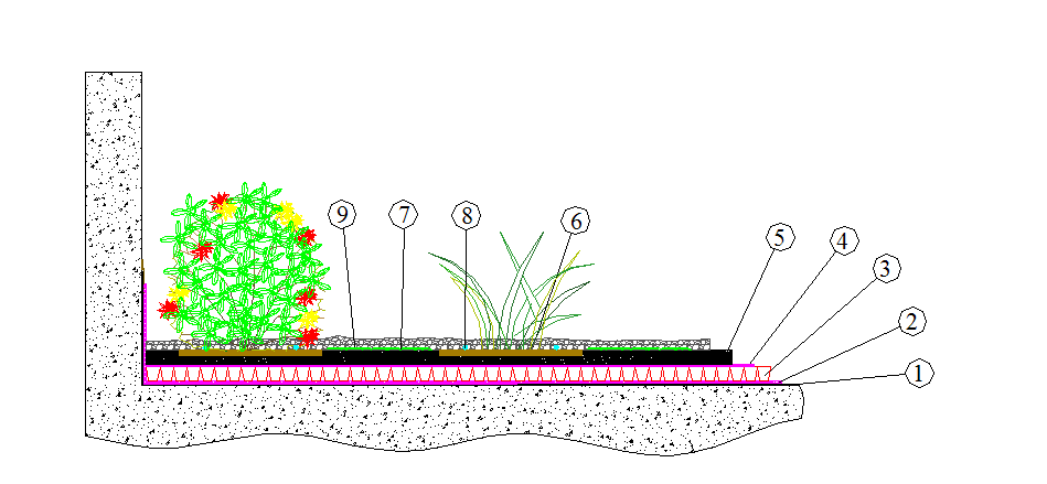 Verde verticale verde pensile VERDE PENSILE ESTENSIVO - SISTEMI SISTEMA MAQUIS Poliflor per tetti piani o con pendenza fino al 30% Schema 1- guaina impermeabilizzante antiradice 2- elemento a