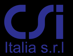 eu http://www.csi-italia.eu Tecniche di Modellazione e Verifica di un edificio multipiano in c.a. in accordo con le NTC2008 Parte 2: Assegnazione dei carichi A cura di: Ing.