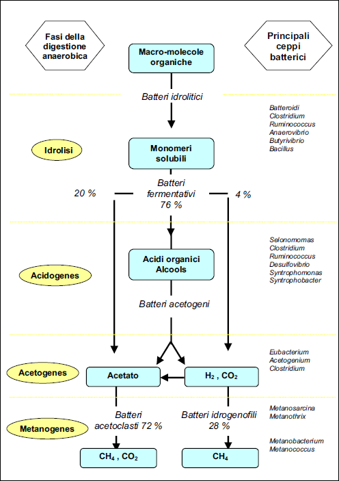 IMPIANTO BIOGAS PRINCIPI BASE E COMPOSIZIONE STANDARD 50-75% Metano CH 4 25-45% Anidride carbonica CO 2 1-10% Idrogeno H 2 0,5-3% Composti