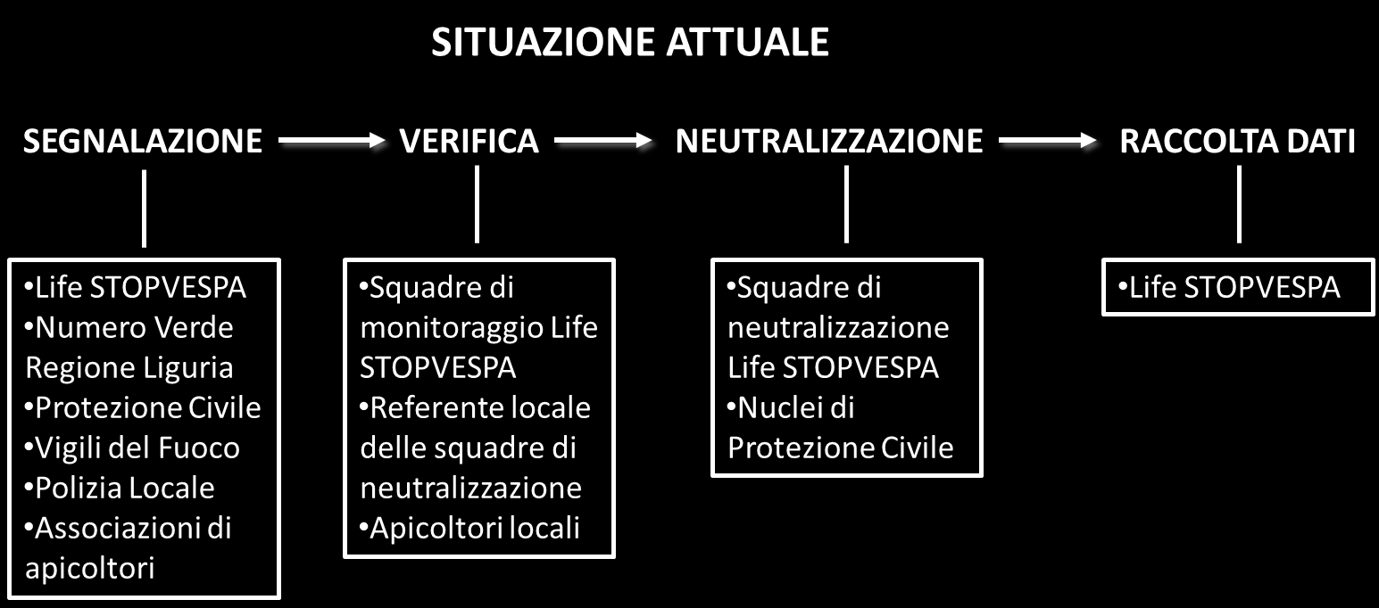 Creazione di un Modello Gestionale Si sta