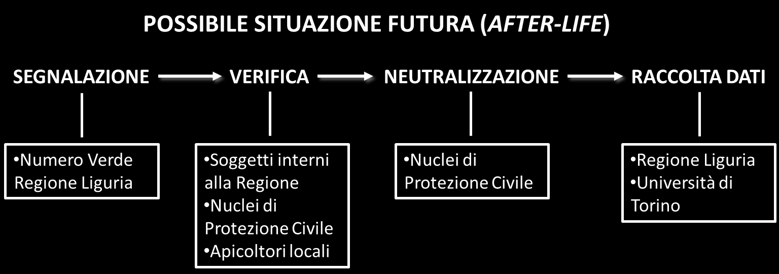 Creazione di un Modello Gestionale Possibile modello gestionale basato sulla Protezione Civile da adottare in Liguria al termine del Progetto Life STOPVESPA Questa è
