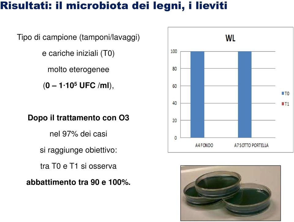 5 UFC /ml), DBDM Dopo il trattamento con O3 nel 97% dei casi si