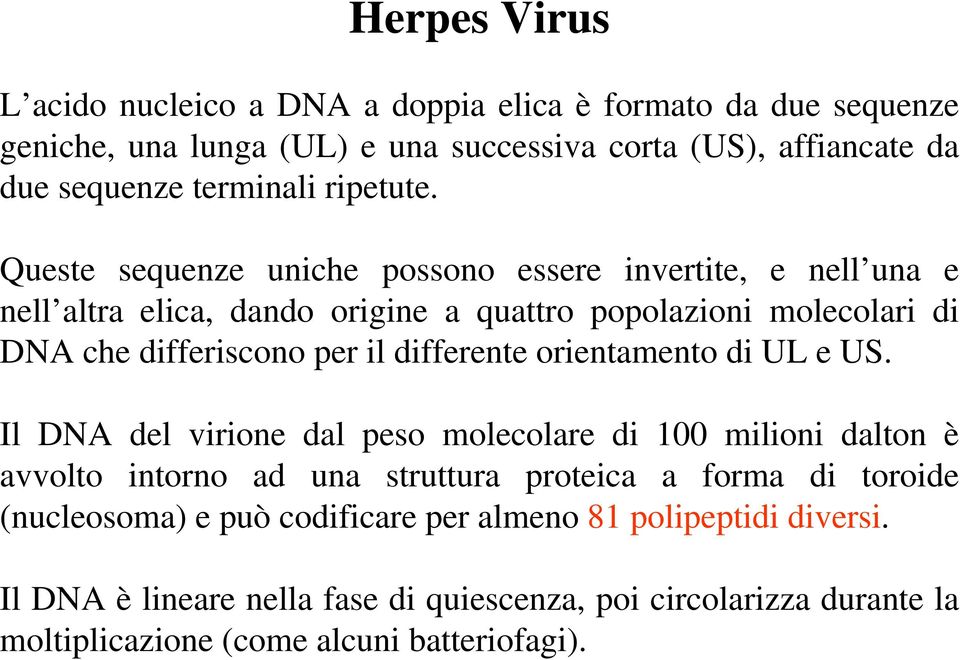 Queste sequenze uniche possono essere invertite, e nell una e nell altra elica, dando origine a quattro popolazioni molecolari di DNA che differiscono per il differente