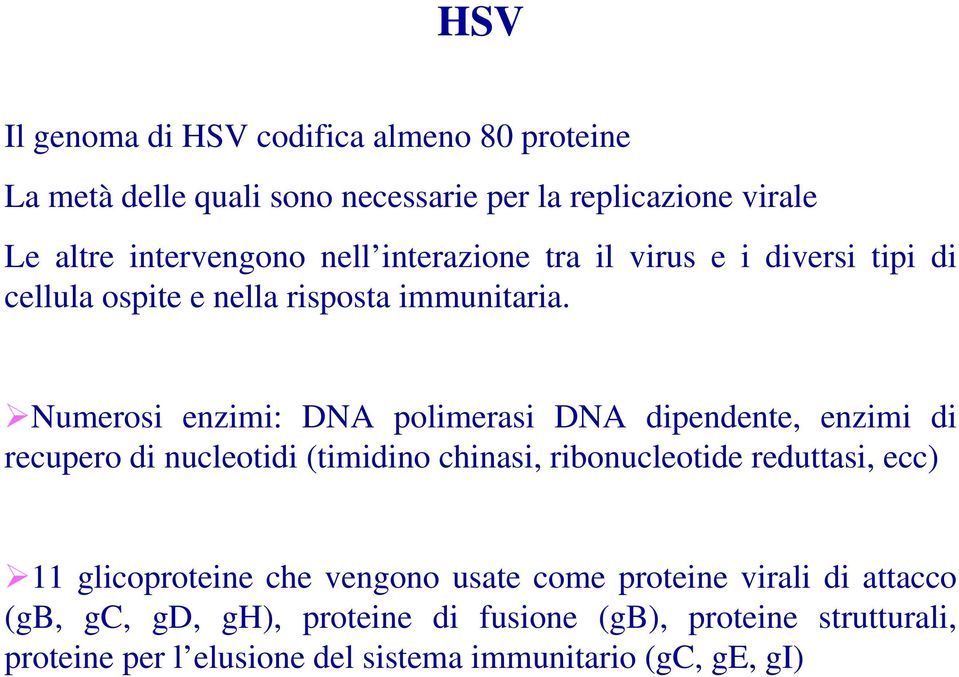 Numerosi enzimi: DNA polimerasi DNA dipendente, enzimi di recupero di nucleotidi (timidino chinasi, ribonucleotide reduttasi, ecc) 11