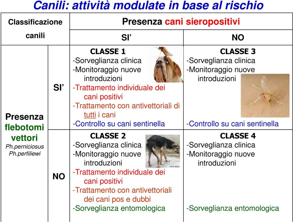 individuale dei cani positivi -Trattamento con antivettoriali di tutti i cani -Controllo su cani sentinella CLASSE 2 -Sorveglianza clinica -Monitoraggio nuove introduzioni