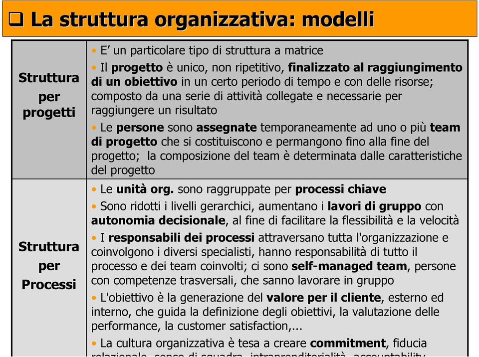 più team di progetto che si costituiscono e permangono fino alla fine del progetto; la composizione del team è determinata dalle caratteristiche del progetto Le unità org.