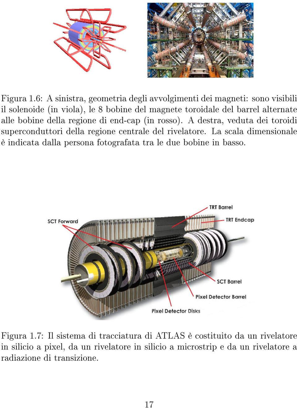 alternate alle bobine della regione di end-cap (in rosso). A destra, veduta dei toroidi superconduttori della regione centrale del rivelatore.