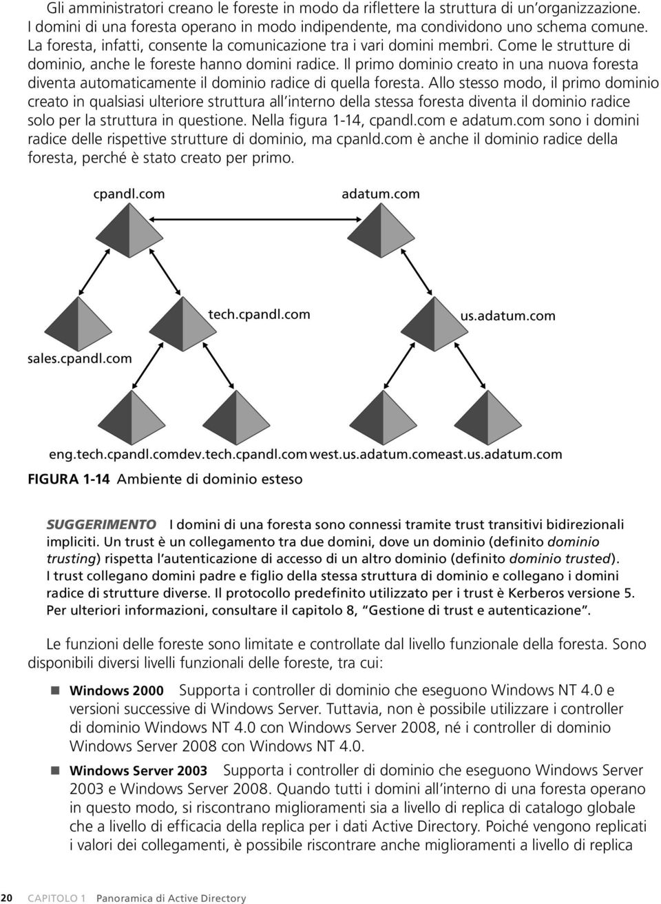 Il primo dominio creato in una nuova foresta diventa automaticamente il dominio radice di quella foresta.