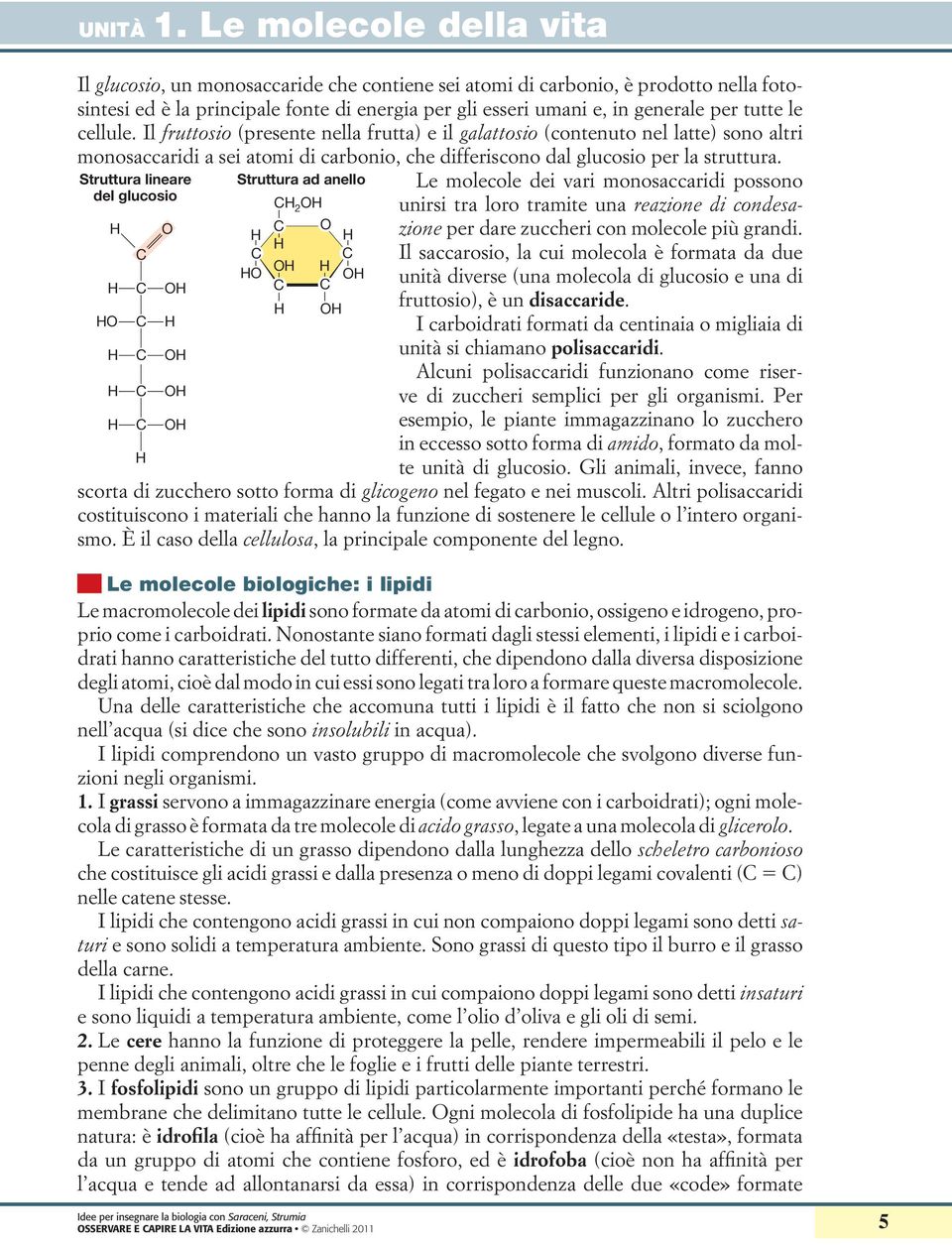 Struttura lineare del glucosio Struttura ad anello 2 Le molecole dei vari monosaccaridi possono unirsi tra loro tramite una reazione di condesazione per dare zuccheri con molecole più grandi.