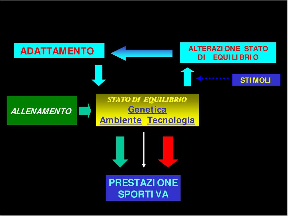 STATO DI EQUILIBRIO Genetica