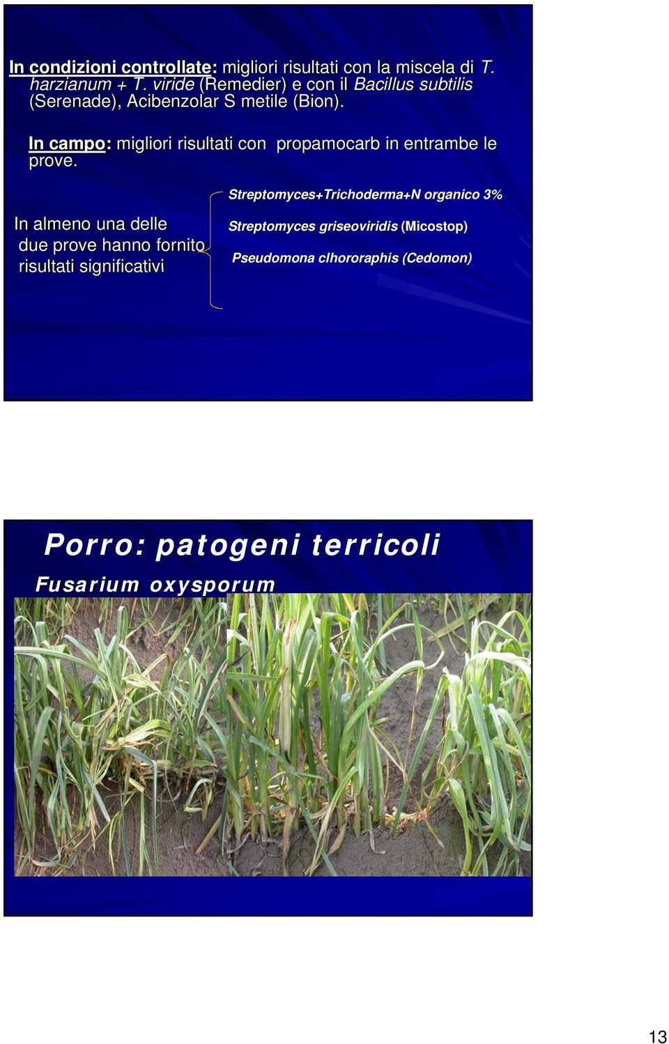 In cmpo: migliori i risultti i con propmocr in entrme le prove.