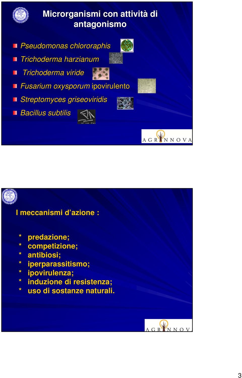 idi Bcillus sutilis I meccnismi d zione : * predzione; * competizione; * ntiiosi;