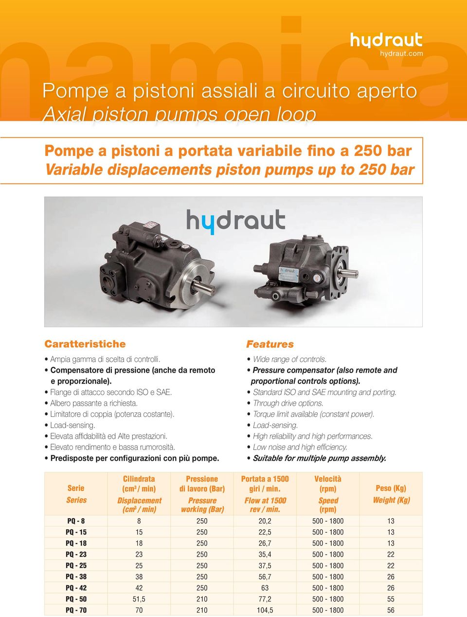 gamma di scelta di controlli. Compensatore di pressione (anche da remoto e proporzionale). Flange di attacco secondo ISO e SAE. Albero passante a richiesta. Limitatore di coppia (potenza costante).