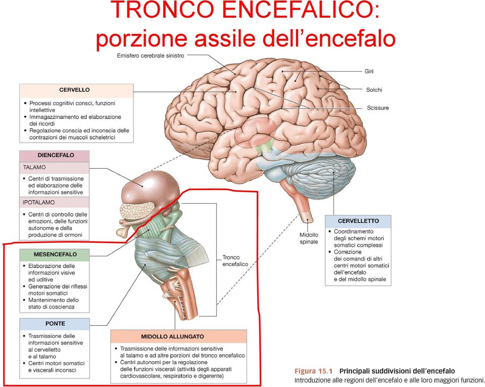 porzione