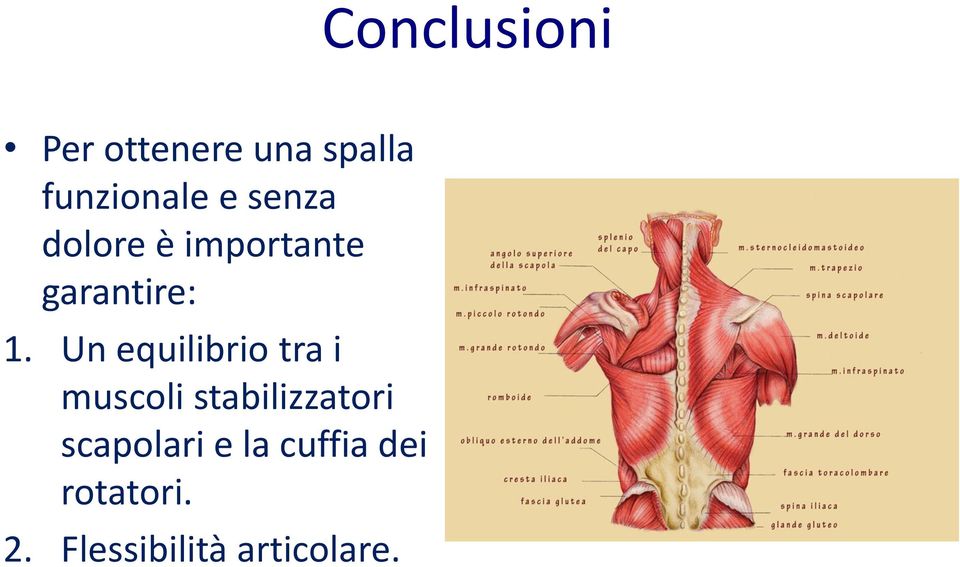 Un equilibrio tra i muscoli stabilizzatori