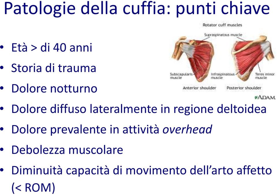 regione deltoidea Dolore prevalente in attività overhead