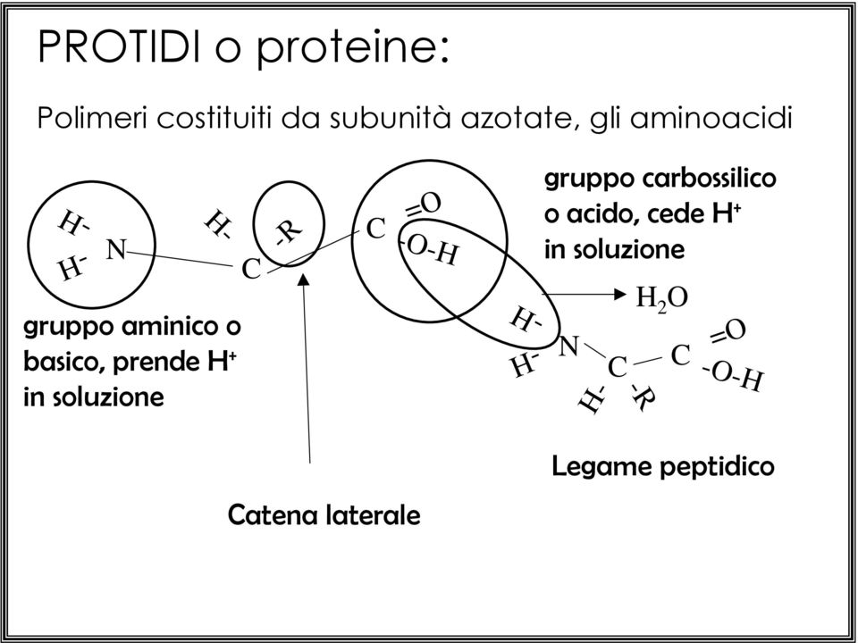 soluzione C -R C =O -O-H -H -H gruppo carbossilico o acido, cede H