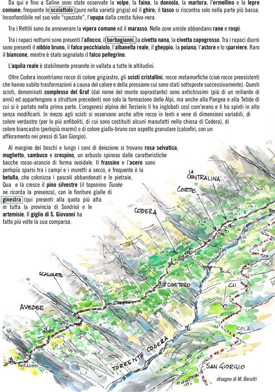 Nelle zone umide abbondano rane e rospi. Tra i rapaci notturni sono presenti I allocco, il barbagianni, la civetta nana, la civetta capogrosso.