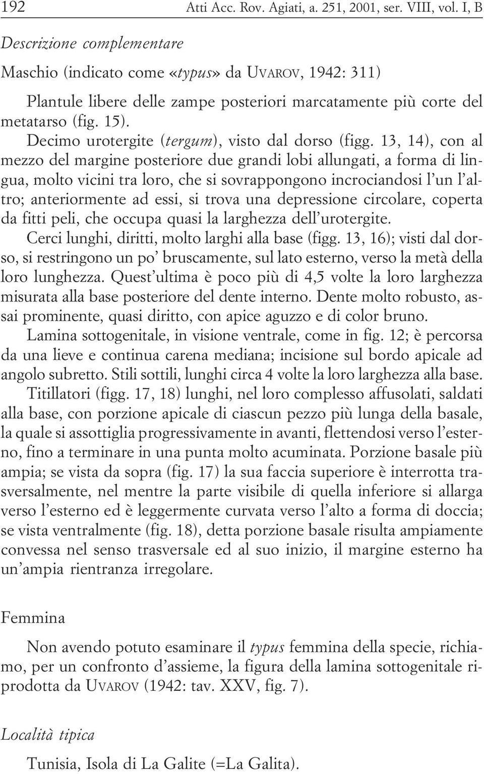 sovrappongono incrociandosi l un l altro; anteriormente ad essi, si trova una depressione circolare, coperta da fitti peli, che occupa quasi la larghezza dell urotergite Cerci lunghi, diritti, molto