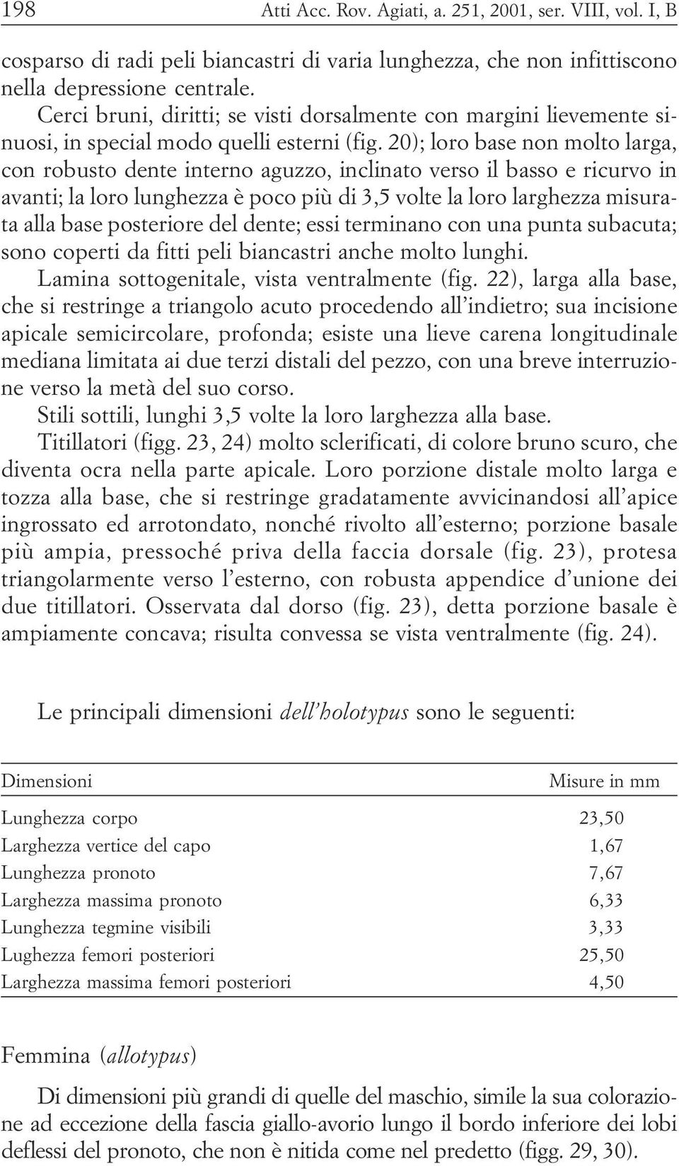 lunghezza è poco più di 3,5 volte la loro larghezza misurata alla base posteriore del dente; essi terminano con una punta subacuta; sono coperti da fitti peli biancastri anche molto lunghi Lamina