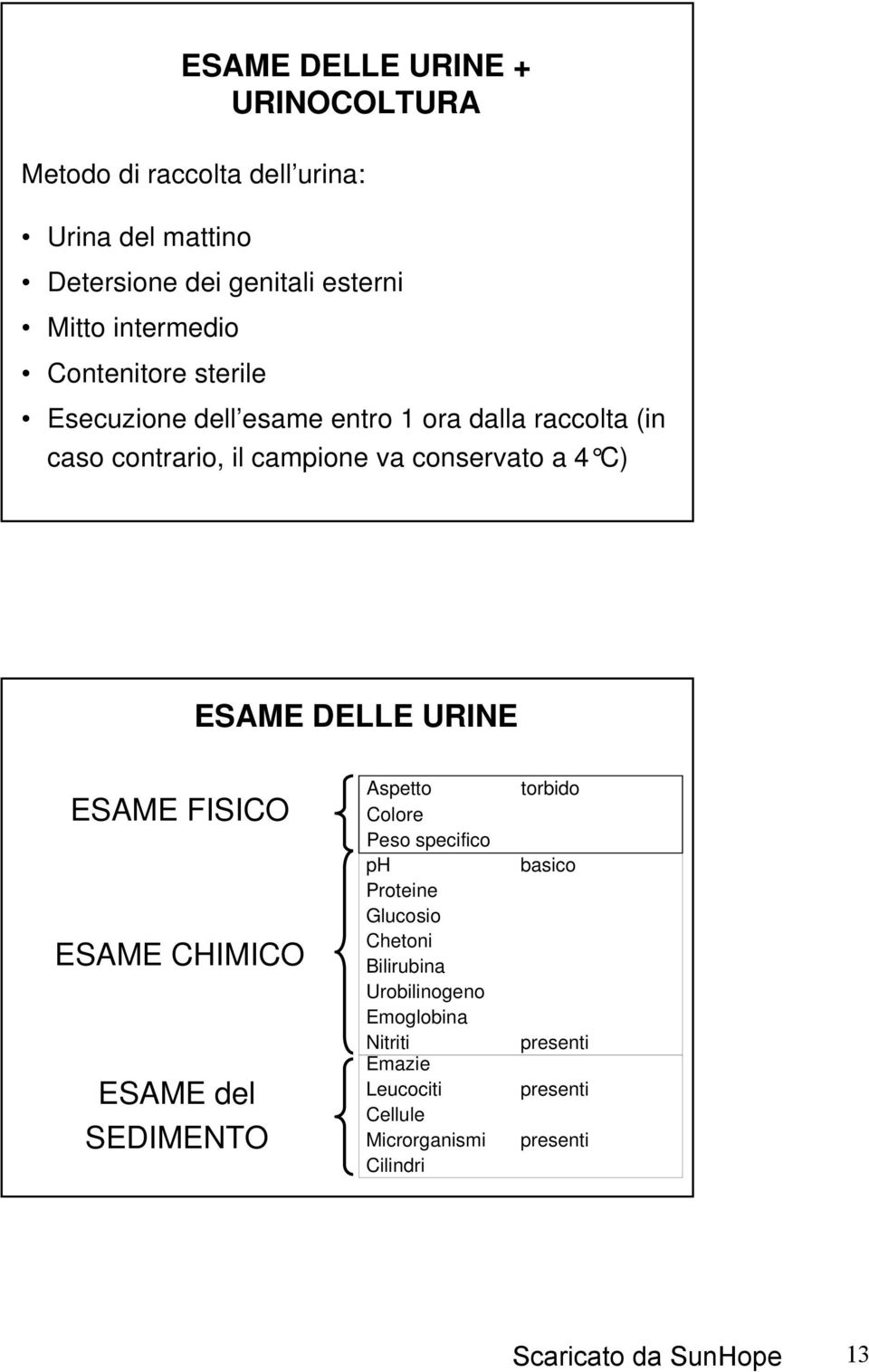 4 C) ESAME DELLE URINE ESAME FISICO ESAME CHIMICO ESAME del SEDIMENTO Aspetto Colore Peso specifico ph Proteine Glucosio Chetoni