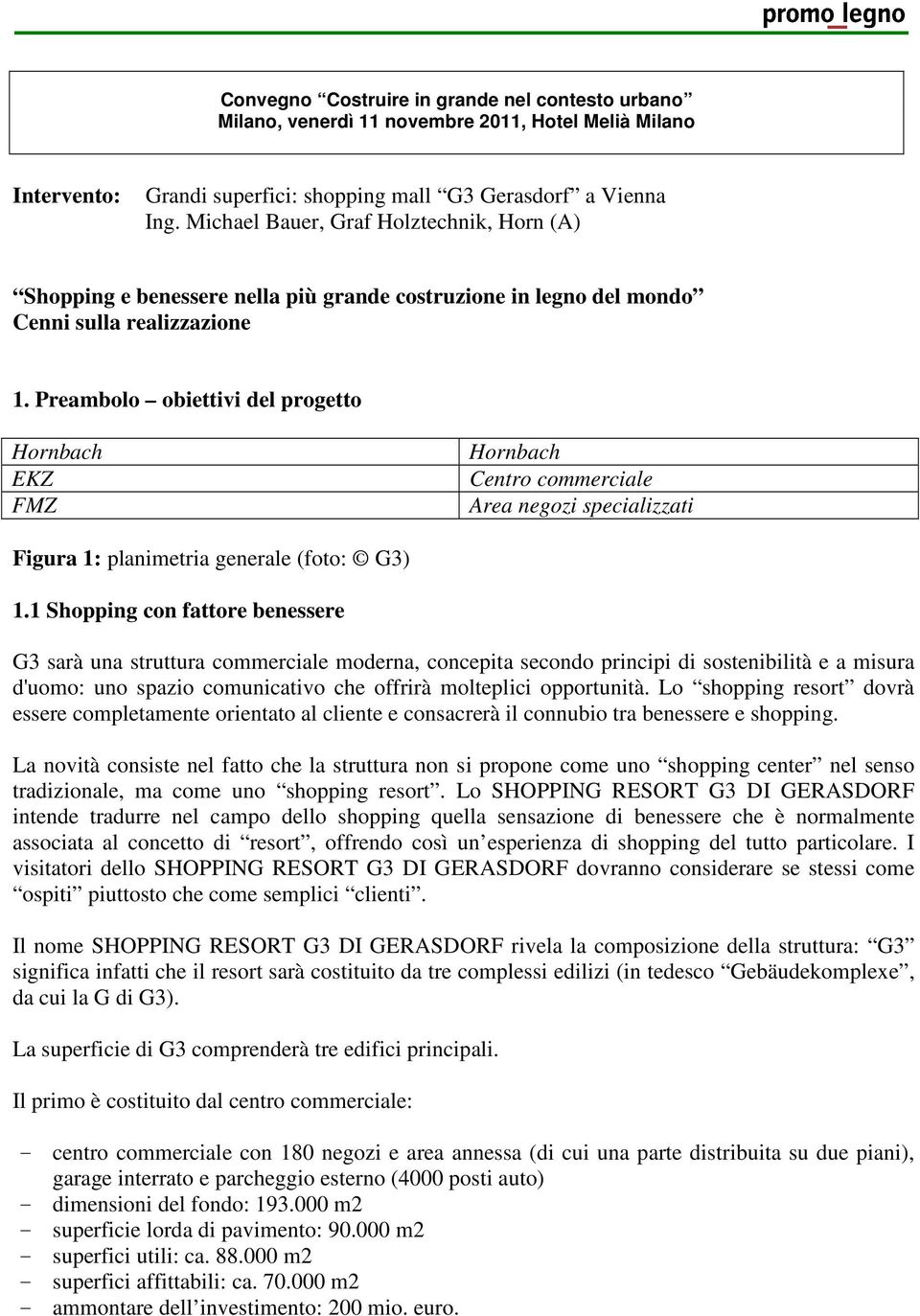 Preambolo obiettivi del progetto Hornbach EKZ FMZ Hornbach Centro commerciale Area negozi specializzati Figura 1: planimetria generale (foto: G3) 1.