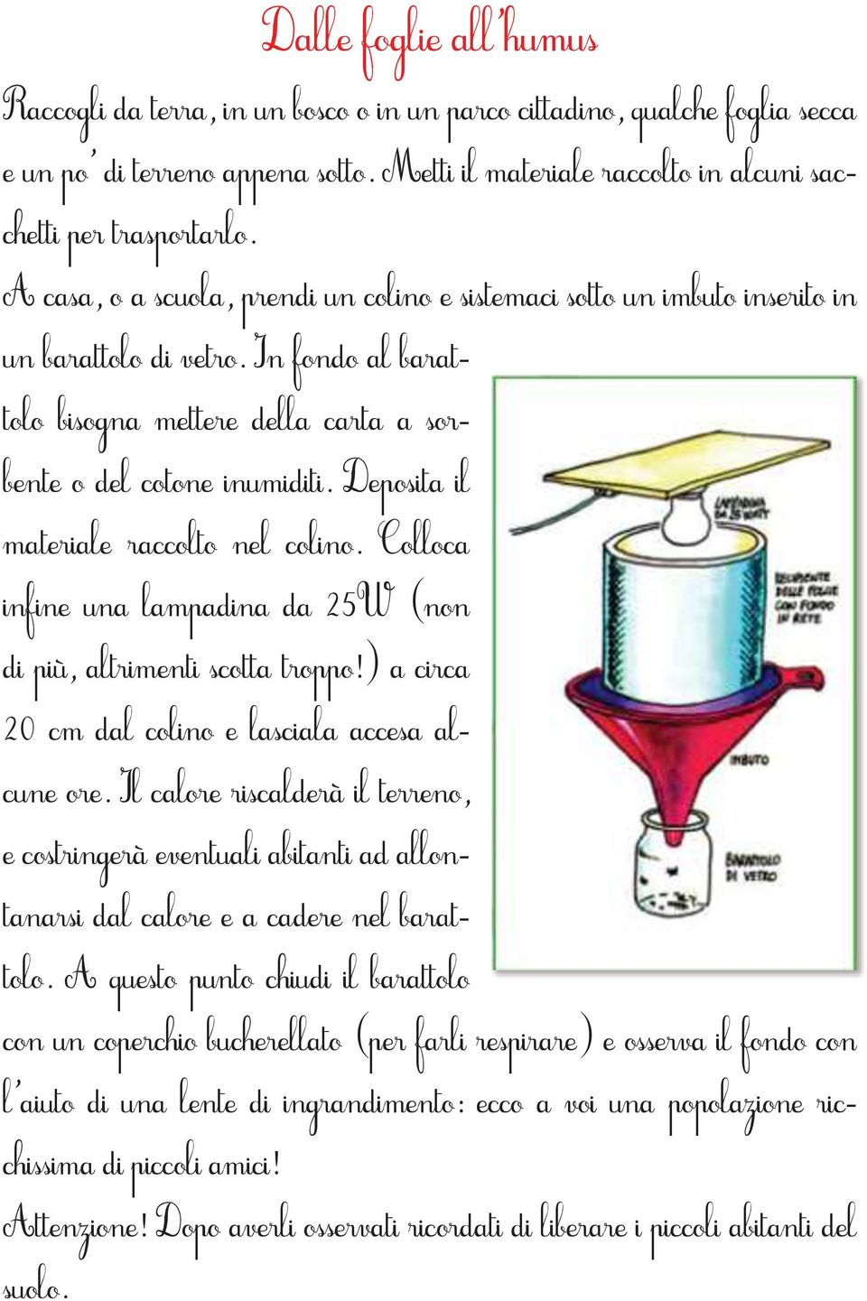 Deposita il materiale raccolto nel colino. Colloca infine una lampadina da 25W (non di più, altrimenti scotta troppo!) a circa 20 cm dal colino e lasciala accesa alcune ore.