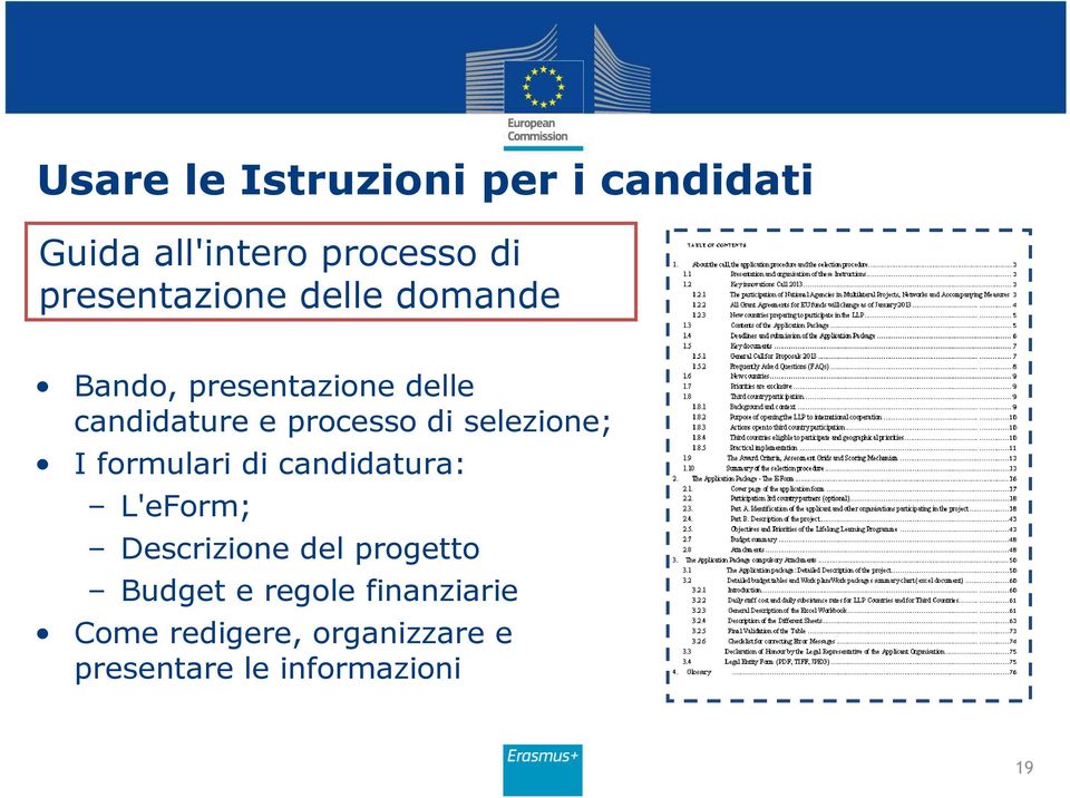 processo di selezione; I formulari di candidatura: L'eForm; Descrizione del