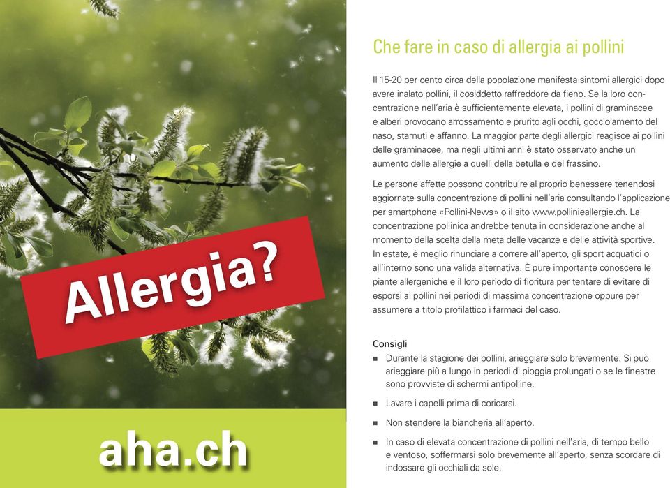 La maggior parte degli allergici reagisce ai pollini delle graminacee, ma negli ultimi anni è stato osservato anche un aumento delle allergie a quelli della betulla e del frassino. Allergia?