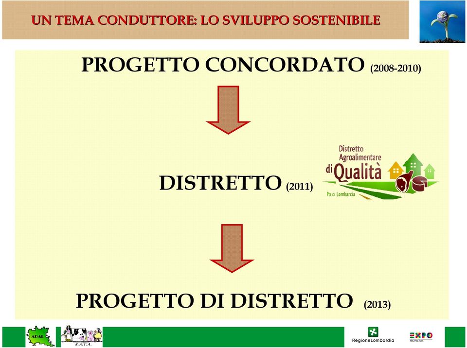 CONCORDATO (2008-2010)