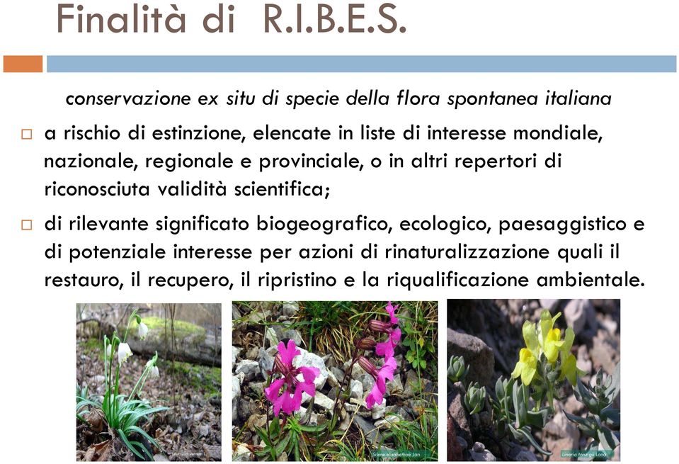 nazionale, regionale e provinciale, o in altri repertori di riconosciuta validità scientifica; di rilevante significato