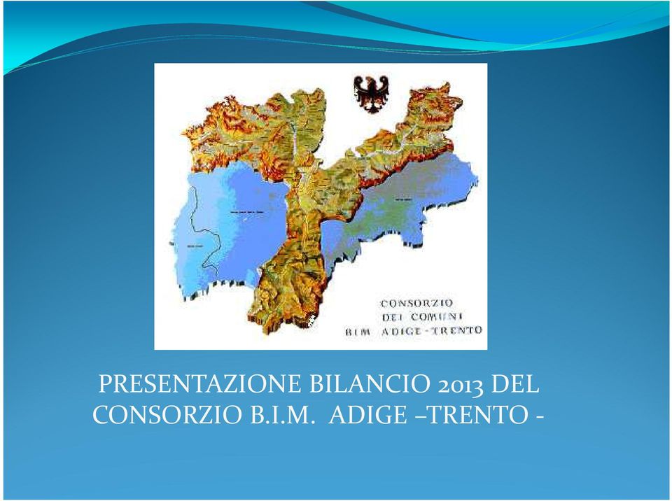 DEL CONSORZIO B.