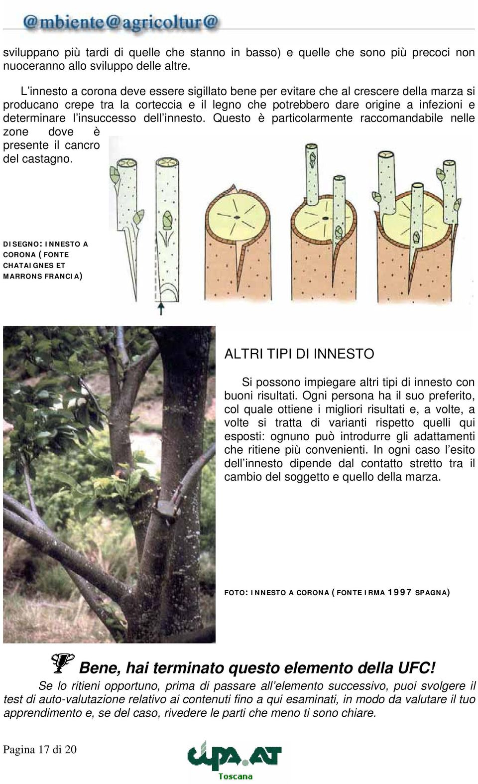 dell innesto. Questo è particolarmente raccomandabile nelle zone dove è presente il cancro del castagno.