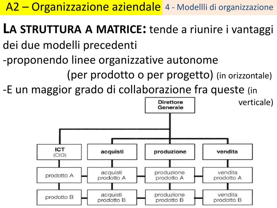 organizzative autonome (per prodotto o per progetto) (in