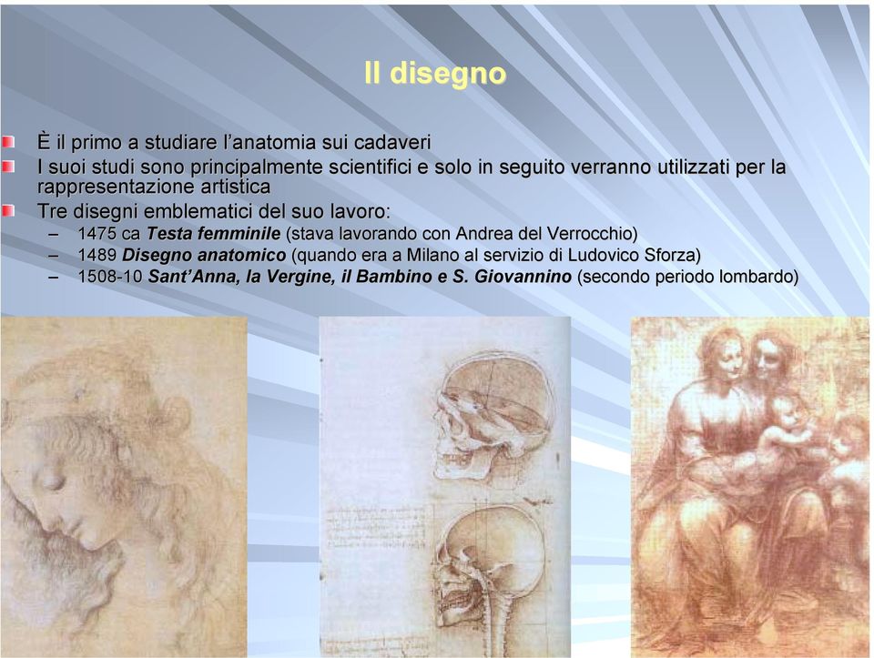 Testa femminile (stava lavorando con Andrea del Verrocchio) 1489 Disegno anatomico (quando era a Milano al