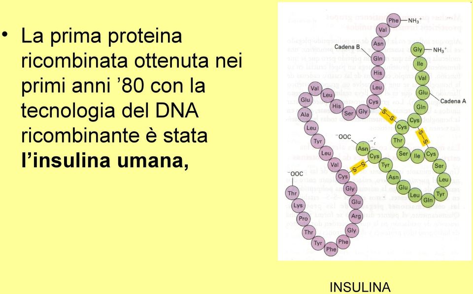 la tecnologia del DNA