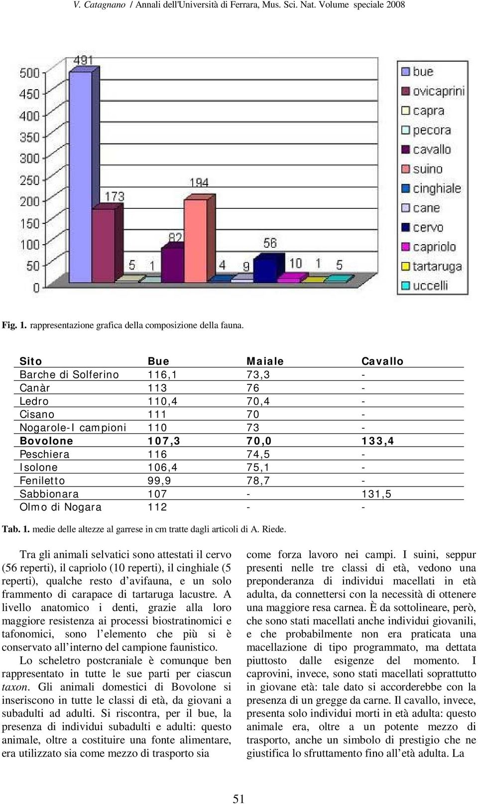 75,1 - Feniletto 99,9 78,7 - Sabbionara 107-131,5 Olmo di Nogara 112 - - Tab. 1. medie delle altezze al garrese in cm tratte dagli articoli di A. Riede.