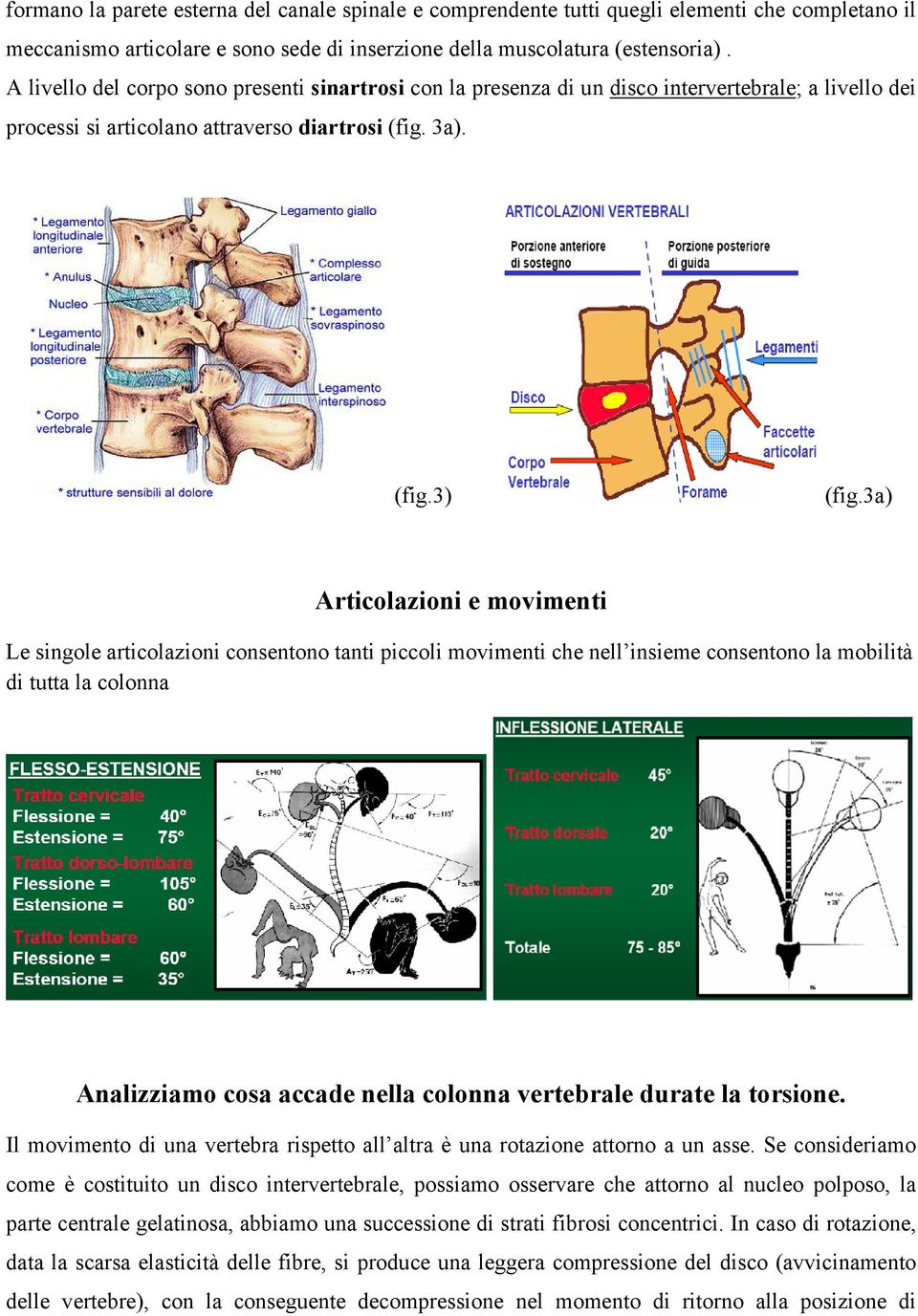 3a) Articolazioni e movimenti Le singole articolazioni consentono tanti piccoli movimenti che nell insieme consentono la mobilità di tutta la colonna Analizziamo cosa accade nella colonna vertebrale