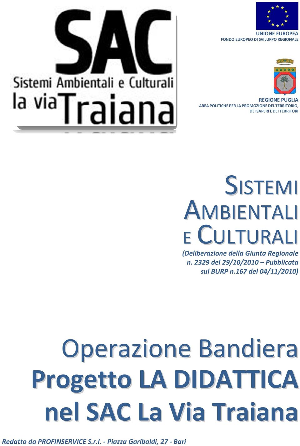 (Deliberazione della Giunta Regionale n. 2329 del 29/10/2010 Pubblicata sul BURP n.