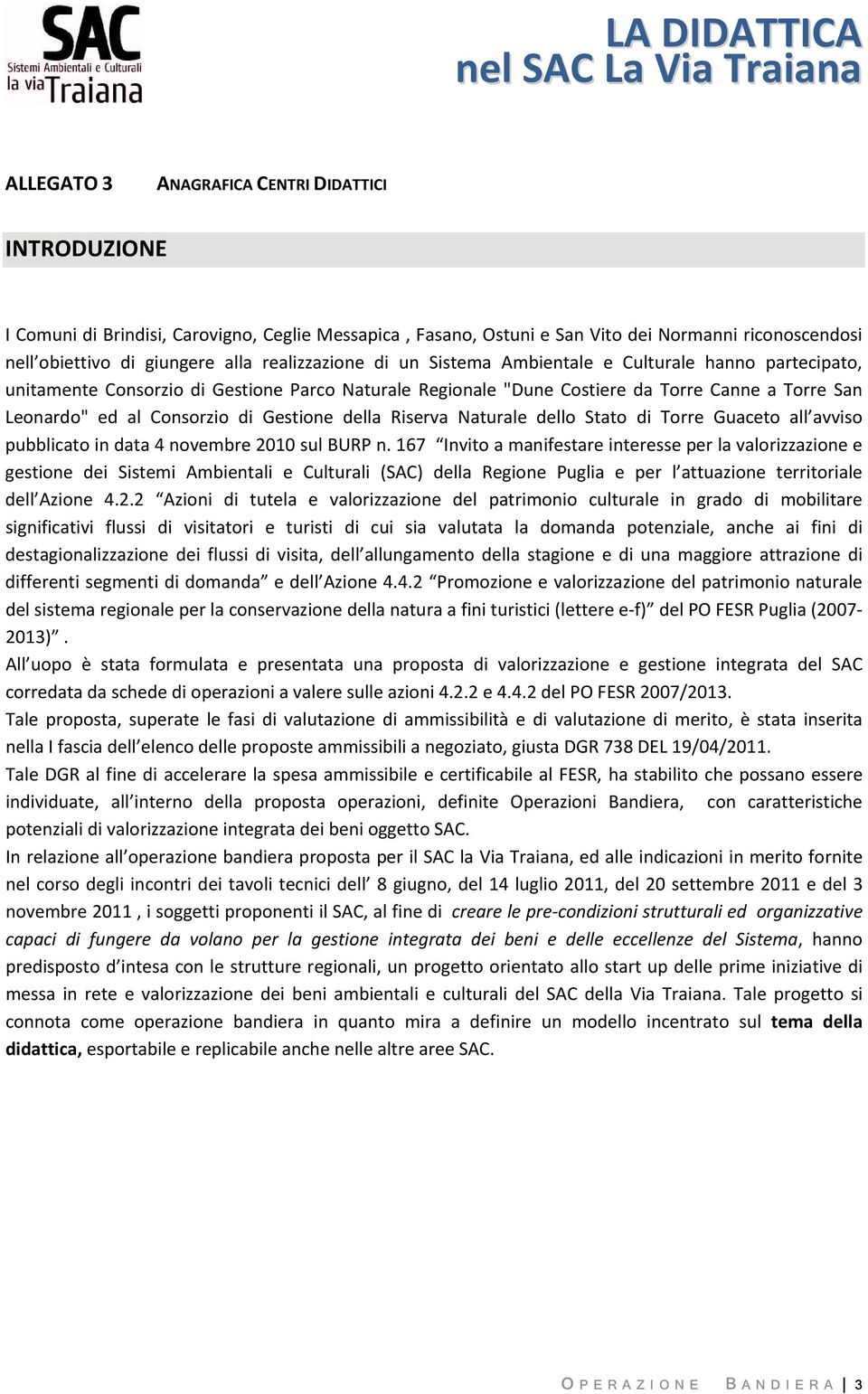 Gestione della Riserva Naturale dello Stato di Torre Guaceto all avviso pubblicato in data 4 novembre 2010 sul BURP n.