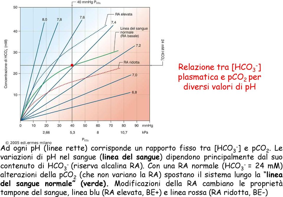 Con una RA normale (HCO 3 = 24 mm) alterazioni della pco 2 (che non variano la RA) spostano il sistema lungo la linea del sangue