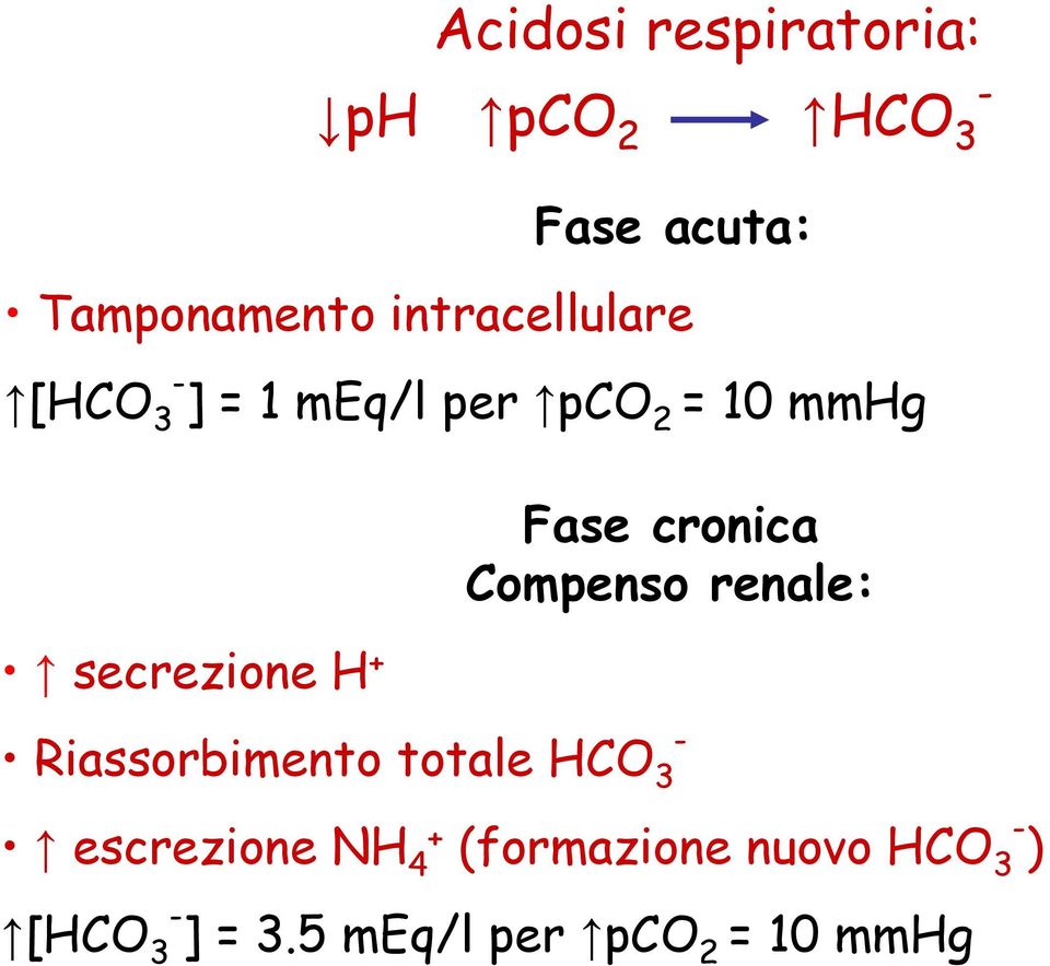 Fase cronica Compenso renale: Riassorbimento totale HCO 3