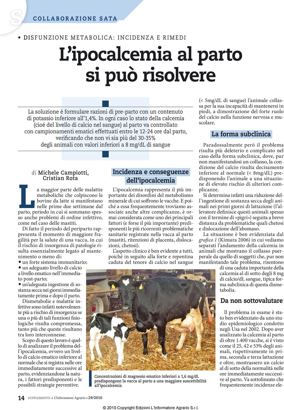 del 30-35% degli animali con valori inferiori a 8 mg/dl di sangue di Michele Campiotti, Cristian Rota La maggior parte delle malattie metaboliche che colpiscono le bovine da latte si manifestano