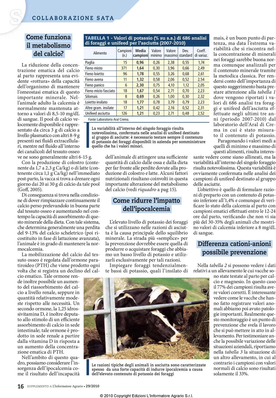 Nell animale adulto la calcemia è normalmente mantenuta attorno a valori di 8,5-10 mg/dl di sangue.